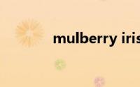 mulberry iris（mulberry）