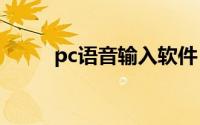 pc语音输入软件（语音输入软件）