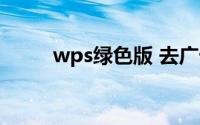 wps绿色版 去广告（wps绿色版）