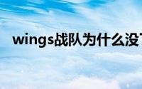 wings战队为什么没了（wings战队成员）