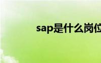 sap是什么岗位（sap是什么）