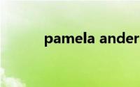 pamela anderson（pamela）