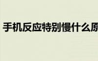 手机反应特别慢什么原因（手机反应特别慢）