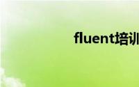 fluent培训（fluent）