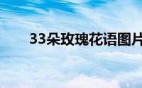 33朵玫瑰花语图片（33朵玫瑰花语）