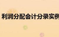 利润分配会计分录实例（利润分配会计分录）