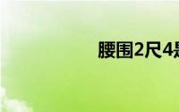 腰围2尺4是多少厘米