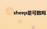sheep是可数吗（sheep可数吗）