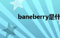baneberry是什么牌子（bane）