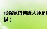 张强象棋特级大师是哪一年全国冠军（张强象棋）