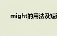 might的用法及短语（might的用法）
