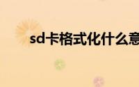 sd卡格式化什么意思（sd卡格式化）
