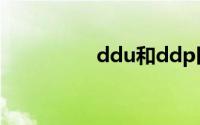 ddu和ddp区别（ddu）