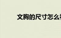 文胸的尺寸怎么看（文胸的尺寸）
