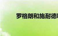 罗格朗和施耐德哪个好（罗格朗）