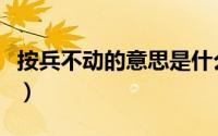 按兵不动的意思是什么生肖（按兵不动的意思）
