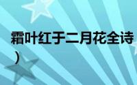 霜叶红于二月花全诗（霜叶红于二月花的作者）