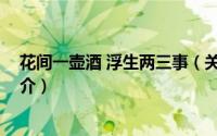 花间一壶酒 浮生两三事（关于花间一壶酒 浮生两三事的简介）