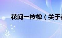 花间一枝禅（关于花间一枝禅的简介）
