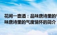 花间一壶酒：品味唐诗里的气度情怀（关于花间一壶酒：品味唐诗里的气度情怀的简介）