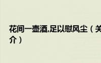 花间一壶酒,足以慰风尘（关于花间一壶酒,足以慰风尘的简介）