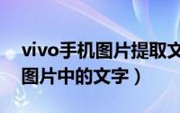 vivo手机图片提取文字（vivo手机如何提取图片中的文字）