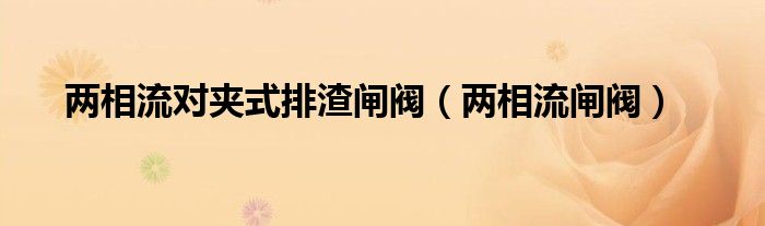 兩相流對夾式排渣閘閥（兩相流閘閥）