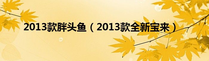 2013款胖頭魚（2013款全新寶來）