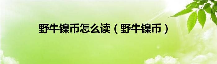 野牛鎳幣怎么讀（野牛鎳幣）