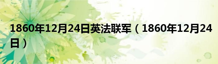 1860年12月24日英法聯軍（1860年12月24日）