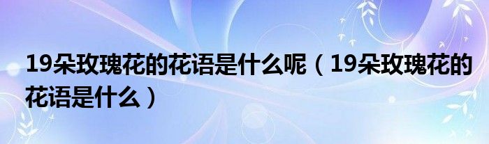 19朵玫瑰花的花語是什么呢（19朵玫瑰花的花語是什么）
