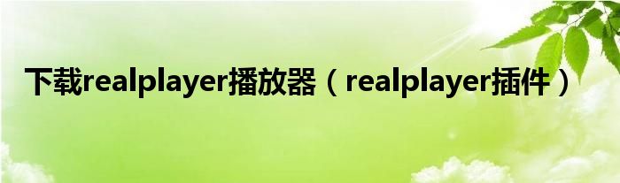下載realplayer播放器（realplayer插件）