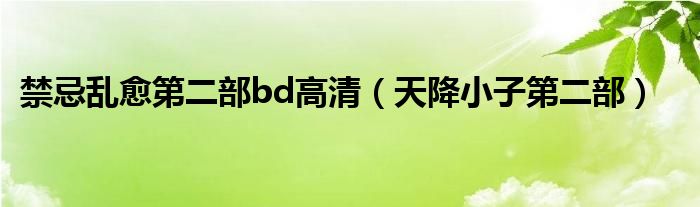 禁忌亂愈第二部bd高清（天降小子第二部）