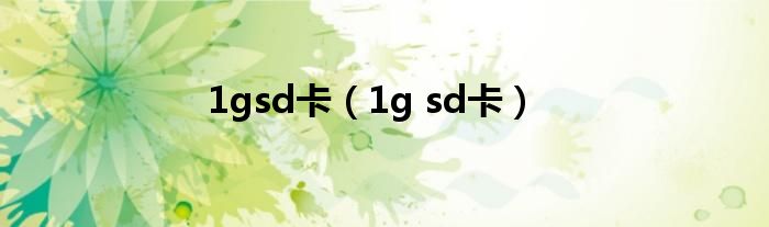 1gsd卡（1g sd卡）