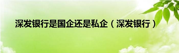 深發銀行是國企還是私企（深發銀行）