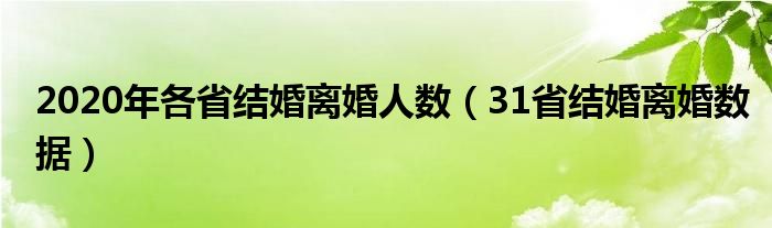 2020年各省結婚離婚人數（31省結婚離婚數據）