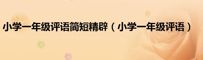 小學一年級評語簡短精辟（小學一年級評語）