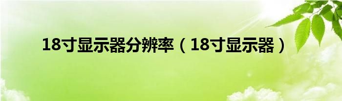 18寸顯示器分辨率（18寸顯示器）