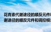 花青素代谢途径的顺反元件和调控模式分析（关于花青素代谢途径的顺反元件和调控模式分析的简介）