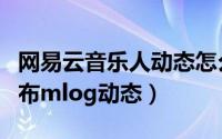 网易云音乐人动态怎么发（网易云音乐如何发布mlog动态）