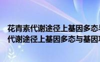 花青素代谢途径上基因多态与基因功能的关系（关于花青素代谢途径上基因多态与基因功能的关系的简介）
