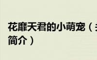 花靡天君的小萌宠（关于花靡天君的小萌宠的简介）