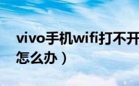 vivo手机wifi打不开（vivo手机连不上WiFi怎么办）