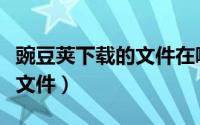 豌豆荚下载的文件在哪（豌豆荚在哪清理缓存文件）