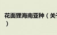 花面狸海南亚种（关于花面狸海南亚种的简介）