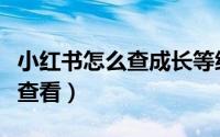 小红书怎么查成长等级（小红书成长等级在哪查看）