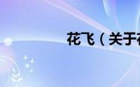 花飞（关于花飞的简介）