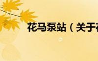 花马泵站（关于花马泵站的简介）