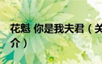 花魁 你是我夫君（关于花魁 你是我夫君的简介）
