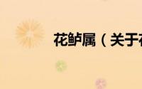 花鲈属（关于花鲈属的简介）